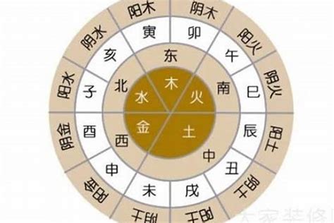 桐五行|桐字的五行属性